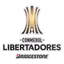CONMEBOL Copa Libertadores