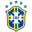 Brazilian Sao Paulo Cup