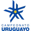 Ngoại hạng Uruguay