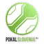 Slovenia Women's Cup