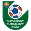Slovenia Women's League