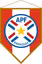 Paraguayan Cup