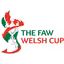 Cúp Xứ Wales