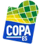 Copa Espírito Santo
