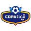 Bolivian Primera Division
