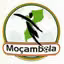 Cúp Mozambique