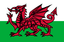 Wales U21
