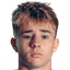 B. Knight