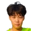 Y. Piao