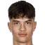 P. Potměšil