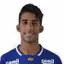L. Fernando