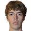 V. Grinvald