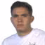 L. P. Godoy