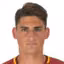R. Cargnelutti