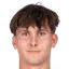 J. Palivec