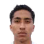 Williams Aldair Guzman Vargas