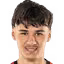 K. Alajbegovic