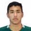 M. Ferreira