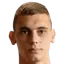M. Merdovic