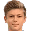 P. Müller