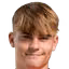 N. Lowe