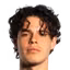 D. Alvarez