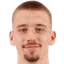 Faris Ribić