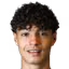 L. Damiao
