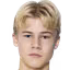 Theo Bergvall