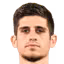 N. Stefanelli