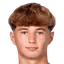 T. Silva