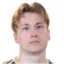 V. Tikkanen