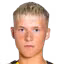 A. Finnbogason