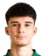D. Ahmeti