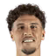 F. Lajugie