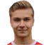 P. Niklas