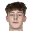 V. Skrkon