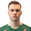 T. Ulfarsson