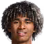P. Lima