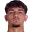 D. Ferreira