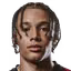 Rees-Dottin