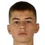N. Zuzic