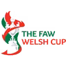 Logo của giải Cúp Xứ Wales