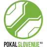 Logo của giải Cúp Slovenia